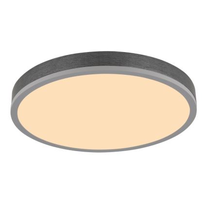 Globo - Plafonnier LED/24W/230V 3000K d. 45 cm