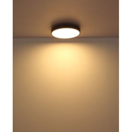 Globo - Plafonnier LED/24W/230V 3000K d. 45 cm