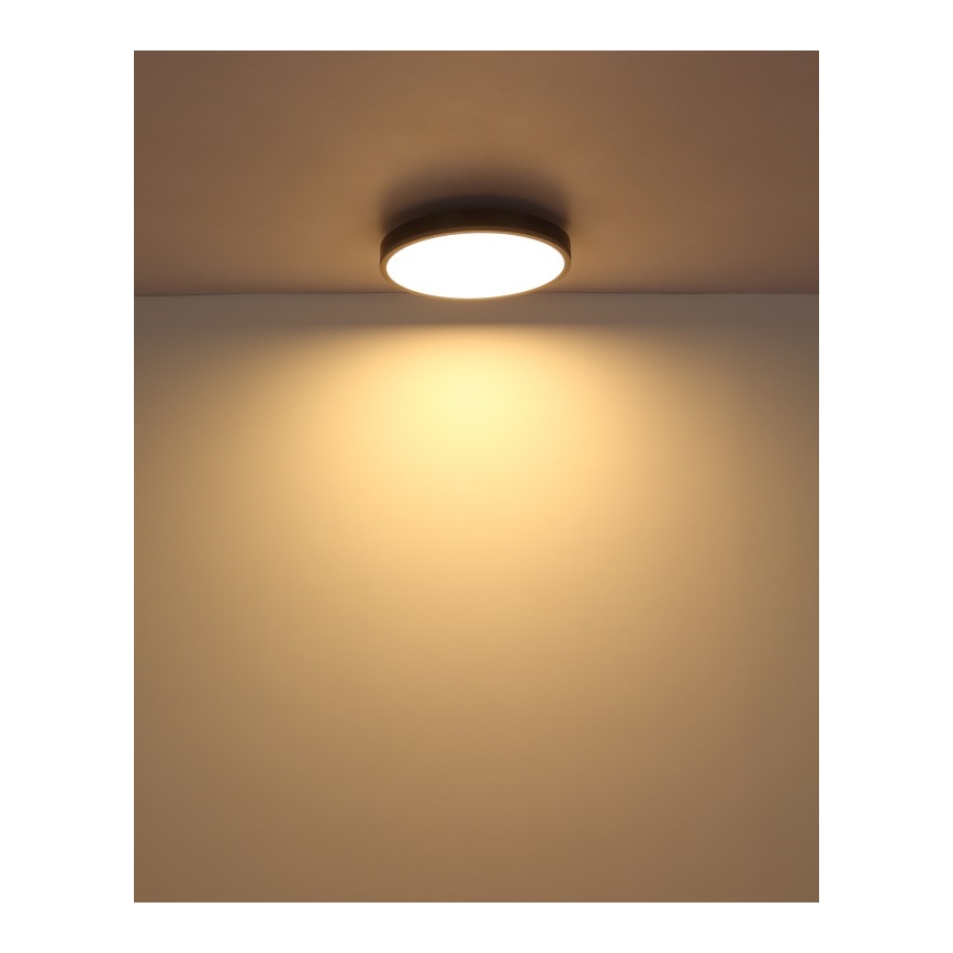 Globo - Plafonnier LED/24W/230V 3000K d. 45 cm
