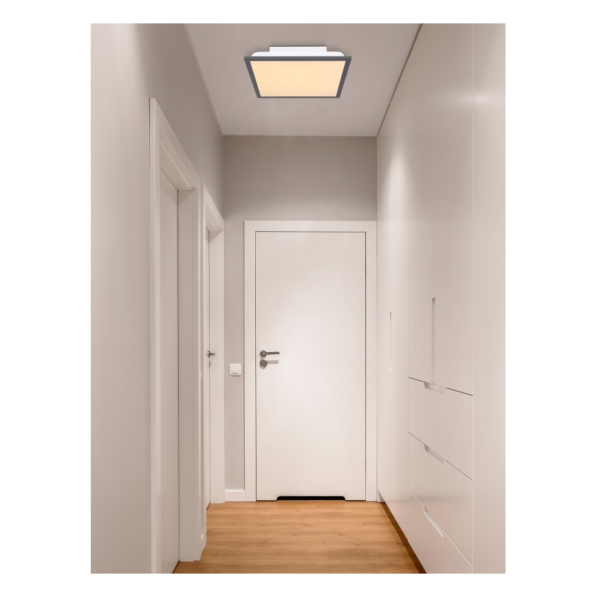 Globo - Plafonnier LED/12W + LED/4W/230V