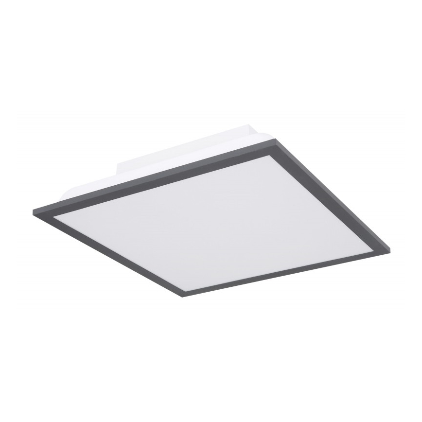 Globo - Plafonnier LED/12W + LED/4W/230V