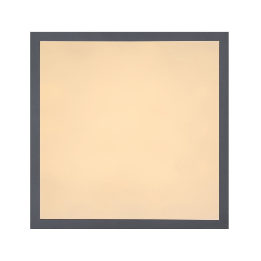 Globo - Plafonnier LED/12W + LED/4W/230V