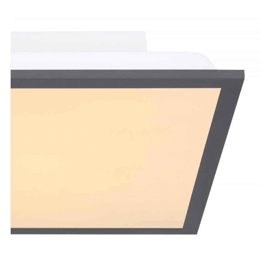 Globo - Plafonnier LED/12W + LED/4W/230V