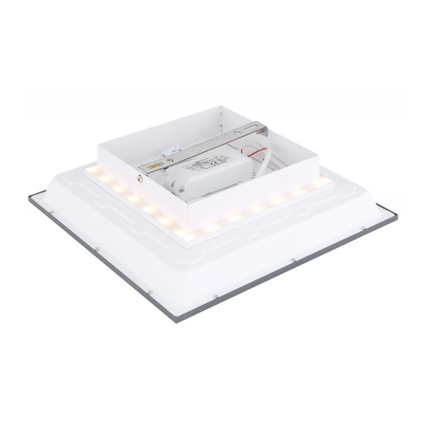 Globo - Plafonnier LED/12W + LED/4W/230V