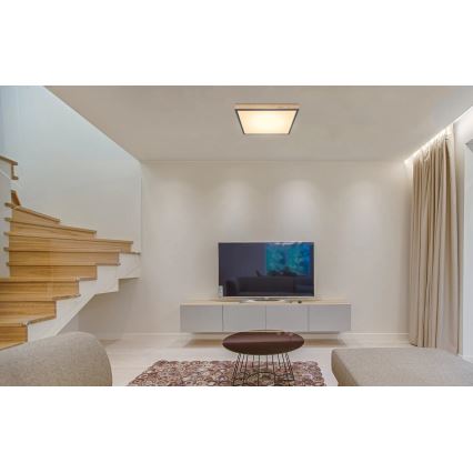 Globo - Plafonnier LED dimmable LED/24W/230V 3000-6500K 45x45 cm