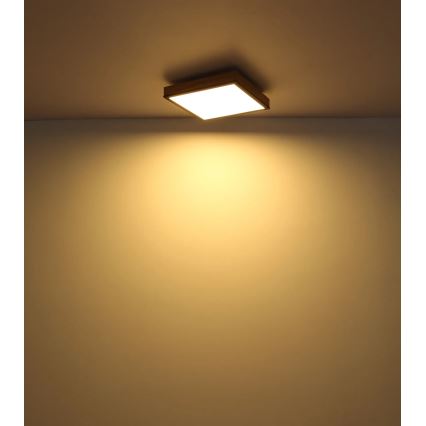 Globo - Plafonnier LED dimmable LED/24W/230V 3000-6500K 45x45 cm