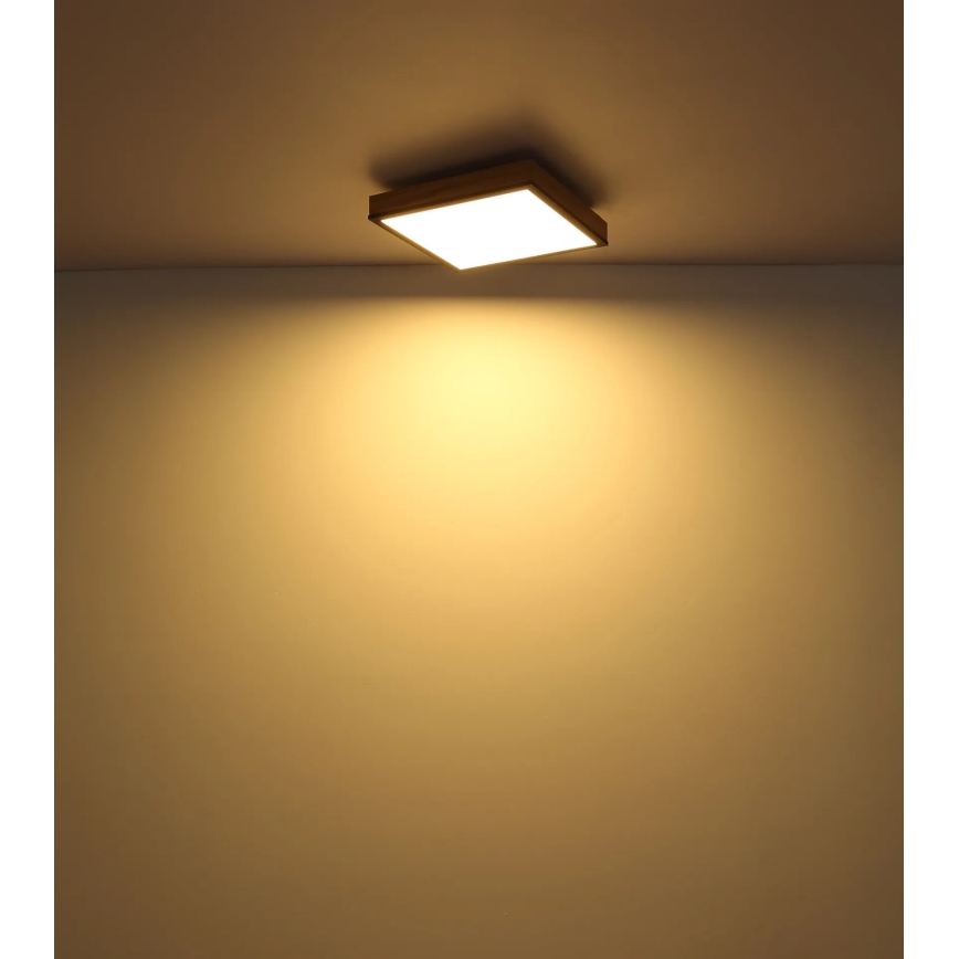Globo - Plafonnier LED dimmable LED/24W/230V 3000-6500K 45x45 cm
