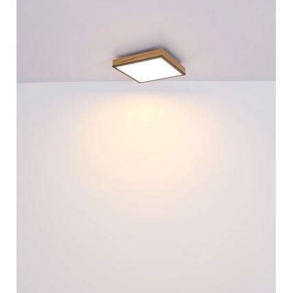 Globo - Plafonnier LED dimmable LED/24W/230V 3000-6500K 45x45 cm
