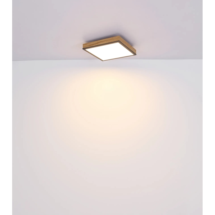 Globo - Plafonnier LED dimmable LED/24W/230V 3000-6500K 45x45 cm