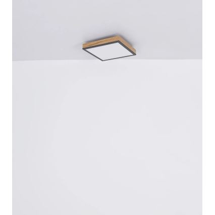 Globo - Plafonnier LED dimmable LED/24W/230V 3000-6500K 45x45 cm