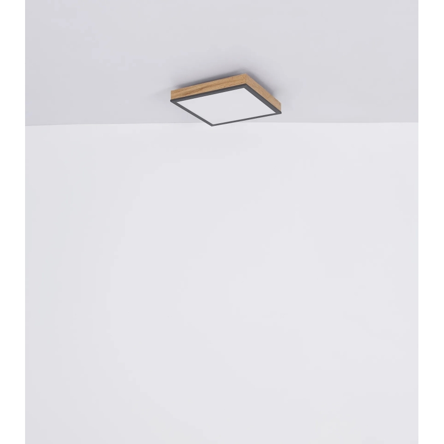 Globo - Plafonnier LED dimmable LED/24W/230V 3000-6500K 45x45 cm