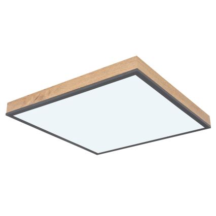 Globo - Plafonnier LED dimmable LED/24W/230V 3000-6500K 45x45 cm