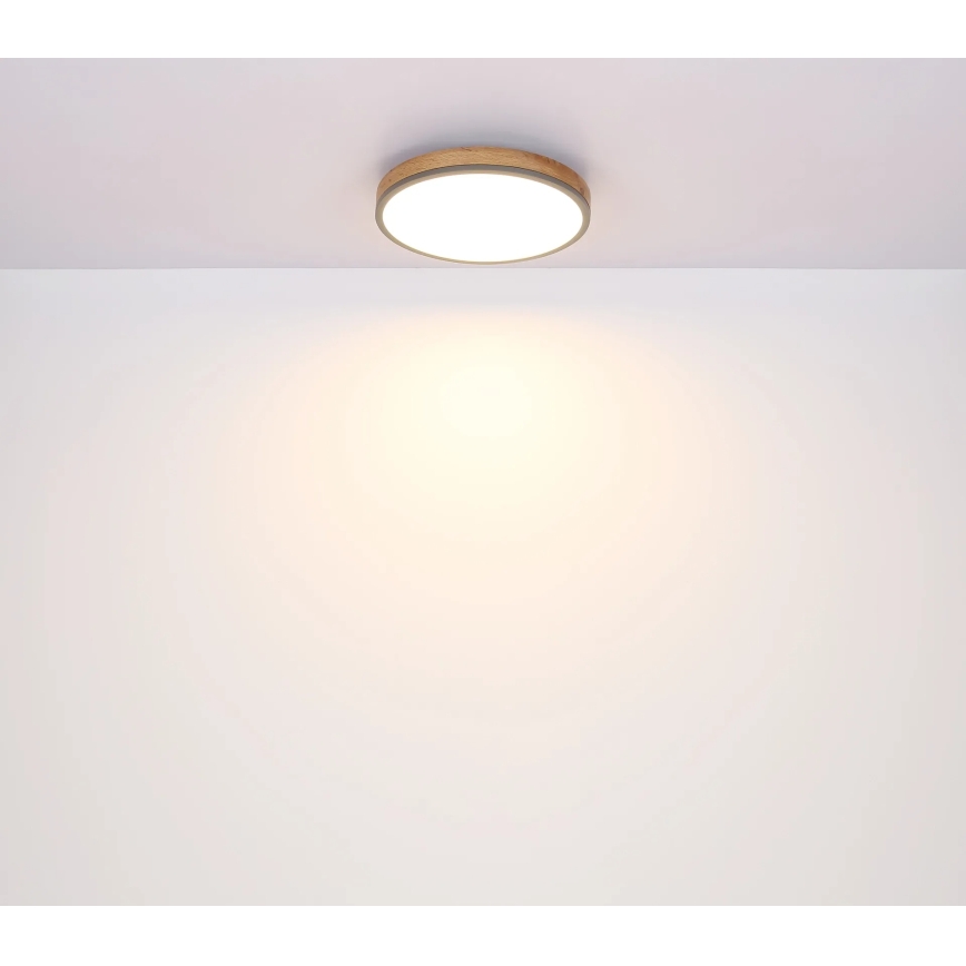 Globo - Plafonnier LED dimmable LED/24W/230V 2700-6500K Ø 45 cm