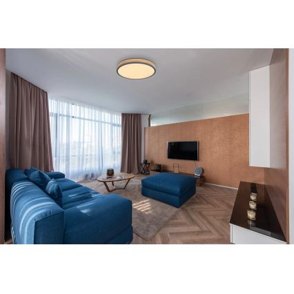 Globo - Plafonnier LED dimmable 24W/230V 3000-6500K Ø 45 cm