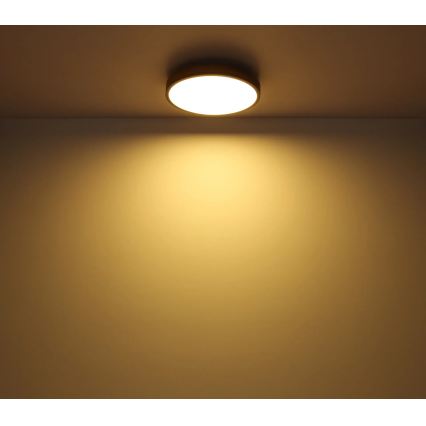 Globo - Plafonnier LED dimmable 24W/230V 3000-6500K Ø 45 cm