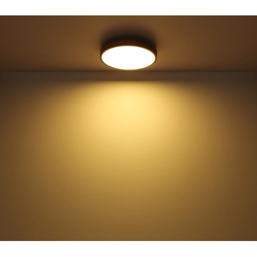 Globo - Plafonnier LED dimmable 24W/230V 3000-6500K Ø 45 cm