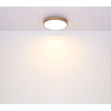 Globo - Plafonnier LED dimmable 24W/230V 3000-6500K Ø 45 cm