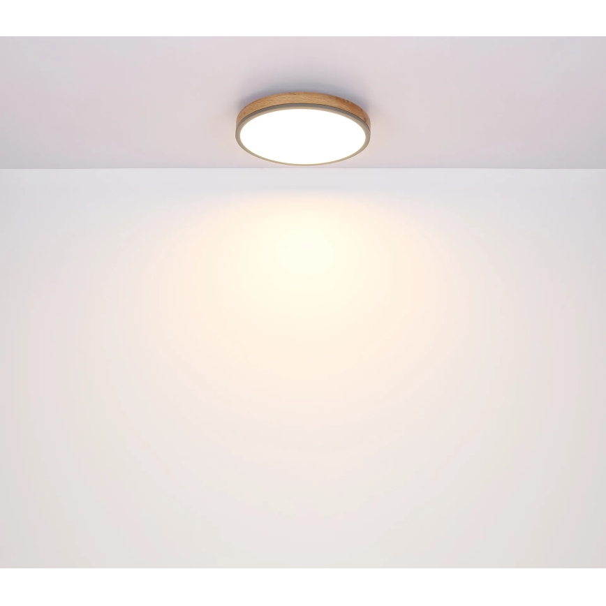 Globo - Plafonnier LED dimmable 24W/230V 3000-6500K Ø 45 cm