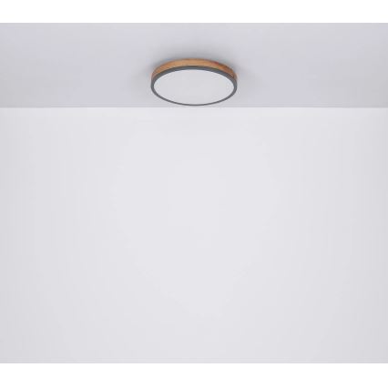 Globo - Plafonnier LED dimmable 24W/230V 3000-6500K Ø 45 cm