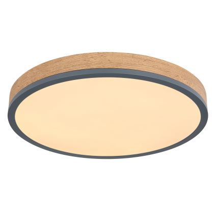 Globo - Plafonnier LED dimmable 24W/230V 3000-6500K Ø 45 cm
