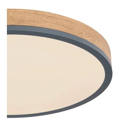 Globo - Plafonnier LED dimmable 24W/230V 3000-6500K Ø 45 cm