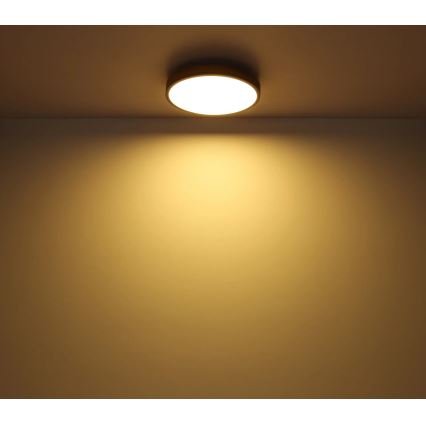 Globo - Plafonnier à intensité variable LED/40W/230V 2700-6500K d. 60 cm + télécommande marron/gris