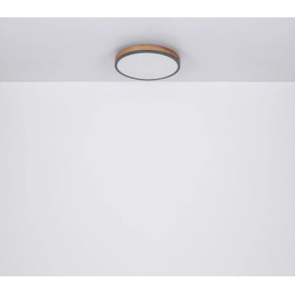 Globo - Plafonnier à intensité variable LED/40W/230V 2700-6500K d. 60 cm + télécommande marron/gris