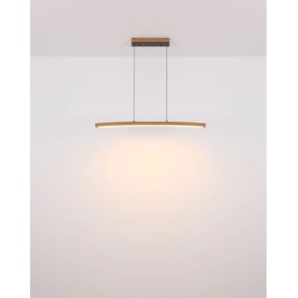 Globo - Suspension LED dimmable à commande tactile sur cordon LED/18W/230V 3000K