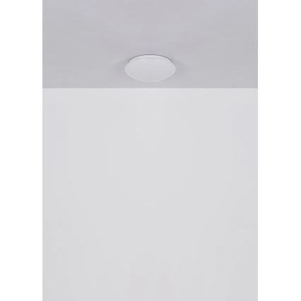 Globo - Plafonnier LED/12W/230V 4000K diam. 25,4 cm
