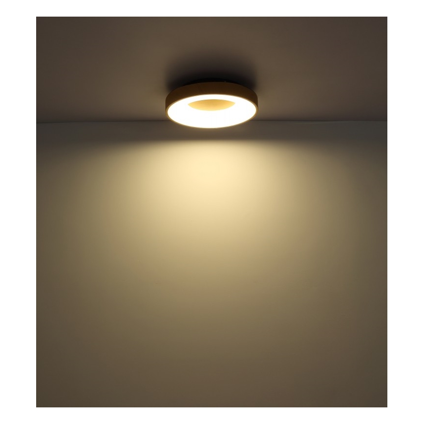 Globo - Plafonnier à intensité variable LED/30W/230V + télécommande