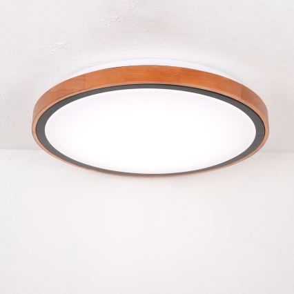 Globo - Plafonnier LED/24W/230V 3000/4500/6000K d. 43,7 cm