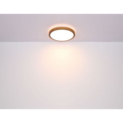 Globo - Plafonnier LED/24W/230V 3000/4500/6000K d. 42 cm