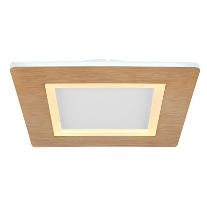 Globo - Plafonnier LED/23W/230V 2700/6500K