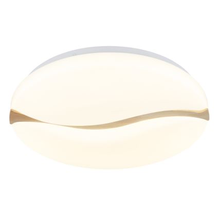 Globo - Plafonnier LED LED/24W/230V 3000/4200/6000K Ø 39 cm