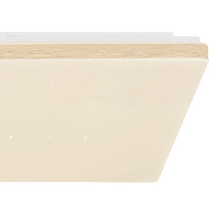 Globo - Plafonnier LED dimmable 24W/230V Wi‑Fi Tuya + télécommande