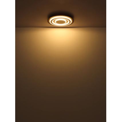 Globo - Plafonnier LED/24W/230V 3000K d. 32 cm anthracite