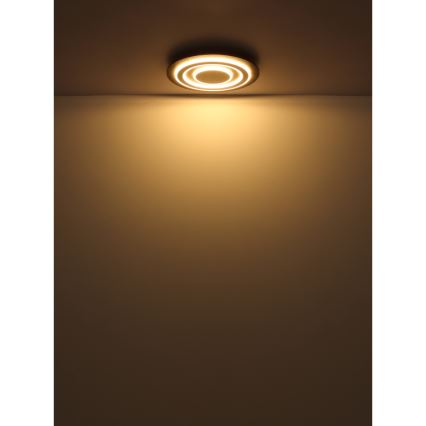 Globo - Plafonnier LED/24W/230V 3000K d. 32 cm
