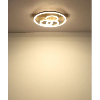 Globo - Plafonnier LED dimmable LED/40W/230V 2700-6500K Ø 35x33 cm laiton + télécommande