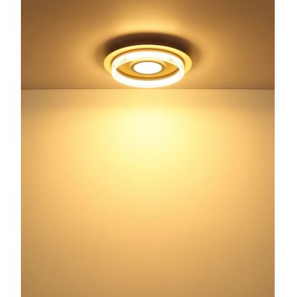 Globo - Plafonnier LED/24W/230V 3000K Ø 40 cm