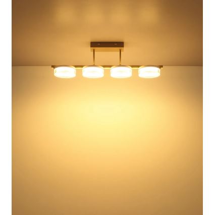 Globo - Lustre plafonnier LED/24W/230V 3000K