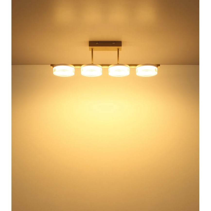 Globo - Lustre plafonnier LED/24W/230V 3000K