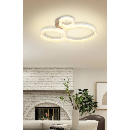 Globo - Plafonnier LED/24W/230V 3000K 40,5x51 cm