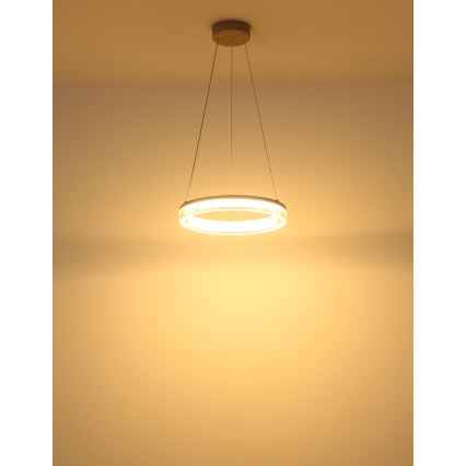Globo - Suspension LED sur câble LED/16W/230V 3000K