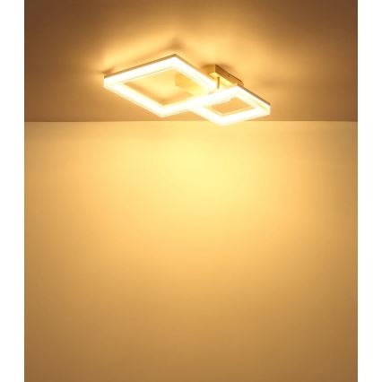Globo - Plafonnier LED/24W/230V 3000K 46,5x62,5 cm