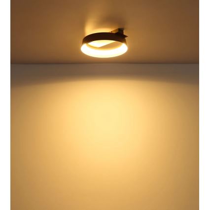 Globo - Plafonnier LED/12W/230V 3000K 26x25 cm