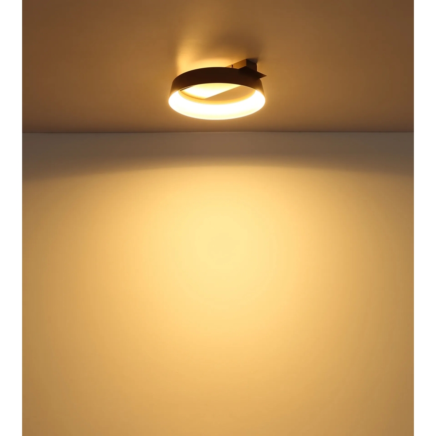 Globo - Plafonnier LED/12W/230V 3000K 26x25 cm