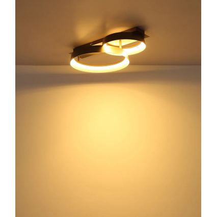 Globo - Plafonnier LED/24W/230V 3000K 50x35 cm