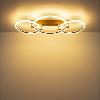 Globo - Plafonnier LED/40W/230V 3000K 76,1x38 cm marron