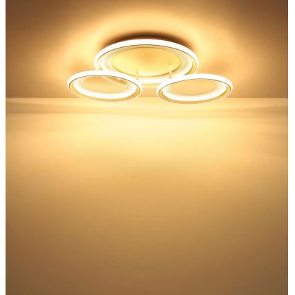 Globo - Plafonnier LED/40W/230V 3000K 60,5x62,5 cm