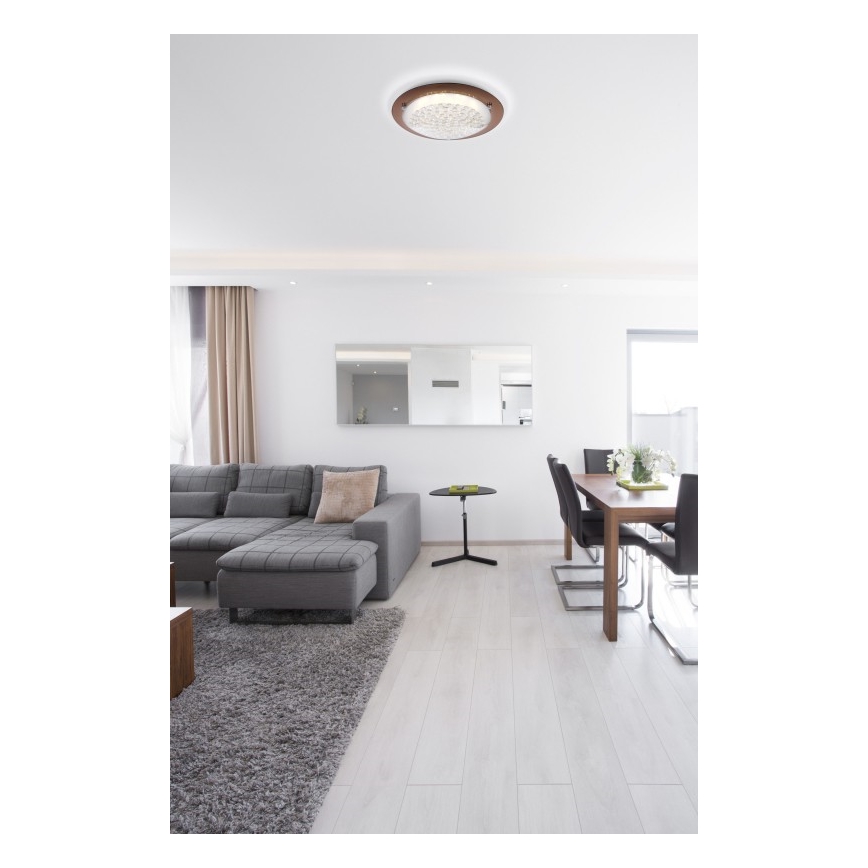 Globo - Plafonnier TABASCO LED/12W/230V